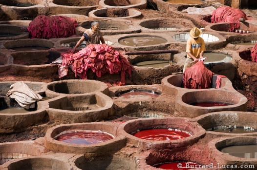 Leather Tanning in Morocco. Photo by Burrard-Lucas via http://www.burrard-lucas.com/photo/morocco/leather_tanning.html