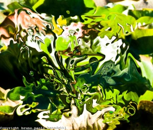 Abstract Green Fantasy by Bruno Paolo Benedetti. Source: imagesinactions.photoshelter.com (Website link embedded within.)